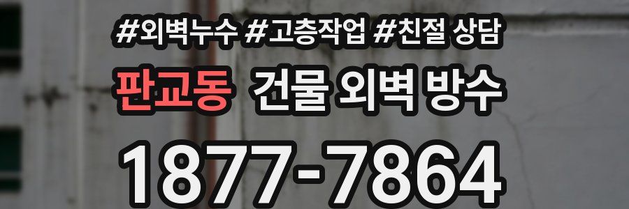 판교동 건물 외벽 방수