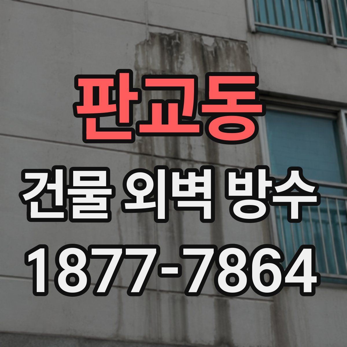 판교동 건물 외벽 방수