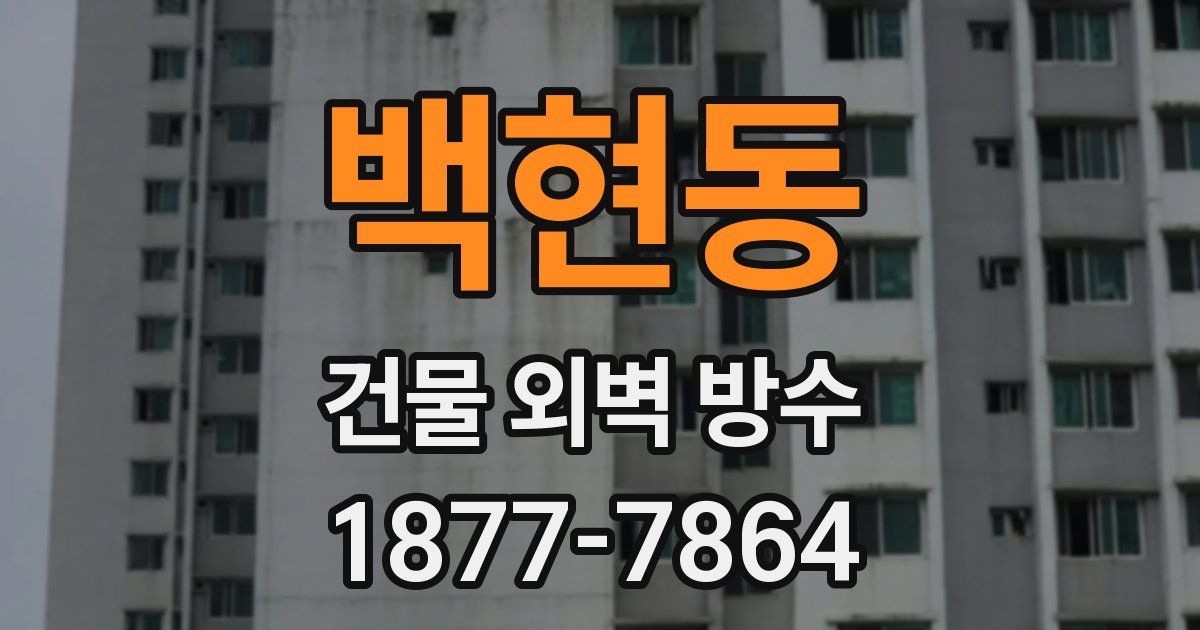 백현동 건물 외벽 방수