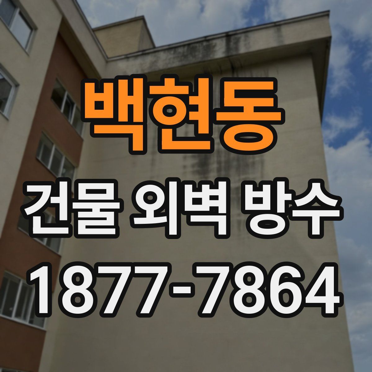 백현동 건물 외벽 방수