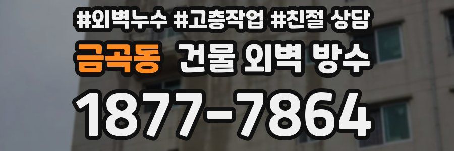 금곡동 건물 외벽 방수