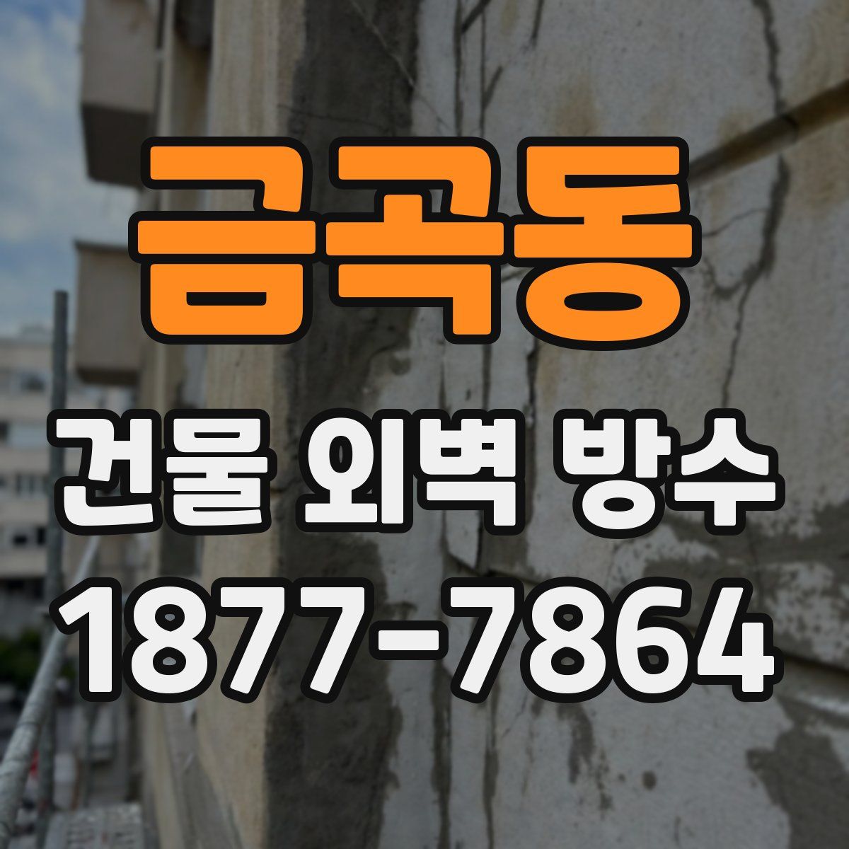금곡동 건물 외벽 방수