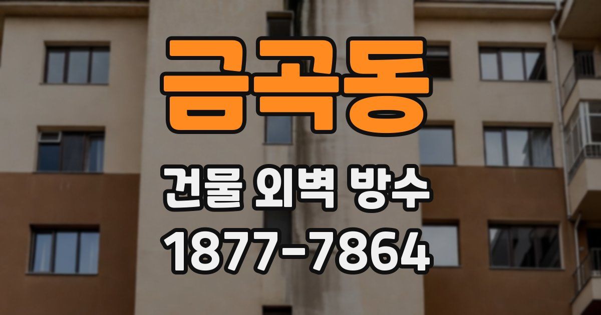 금곡동 건물 외벽 방수