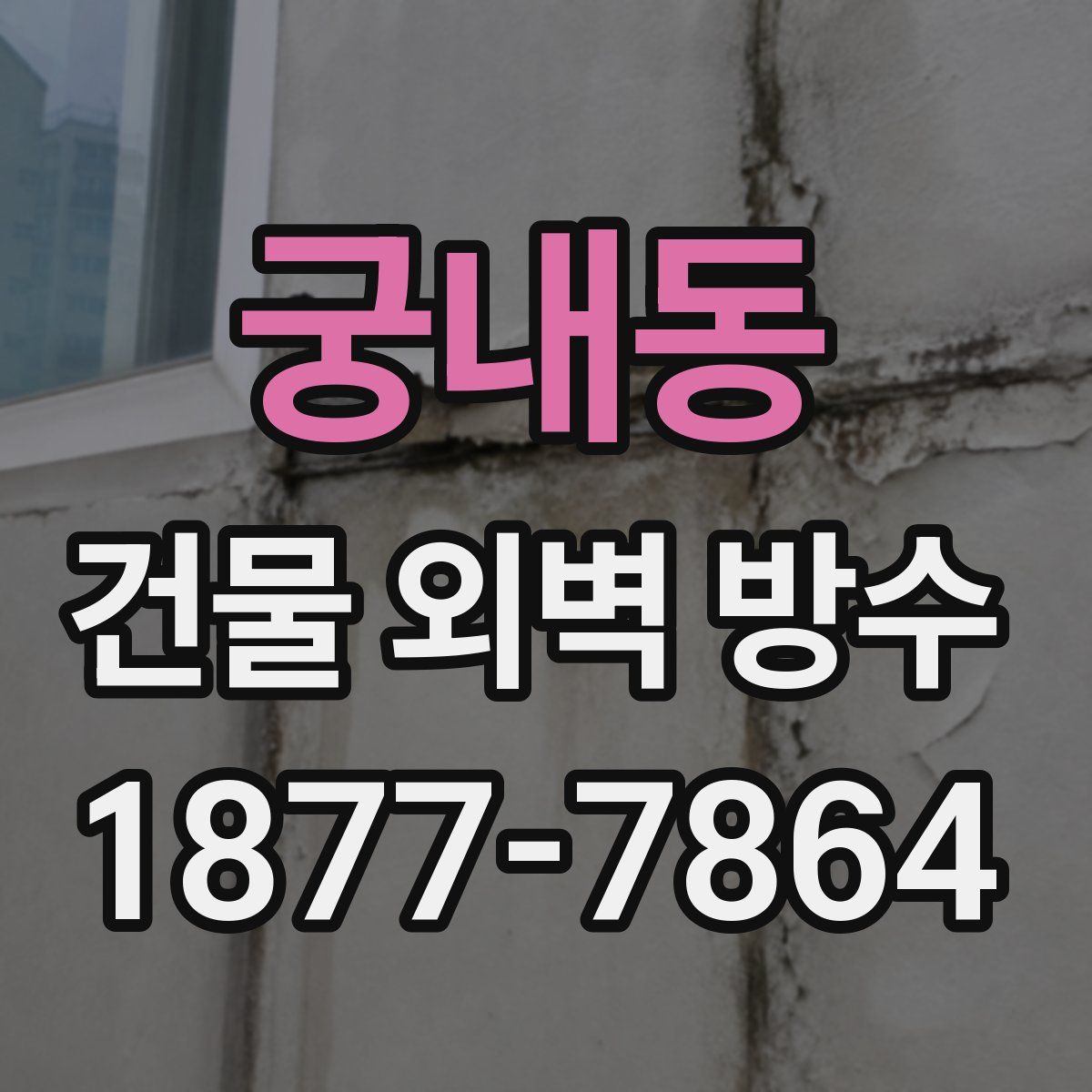 궁내동 건물 외벽 방수