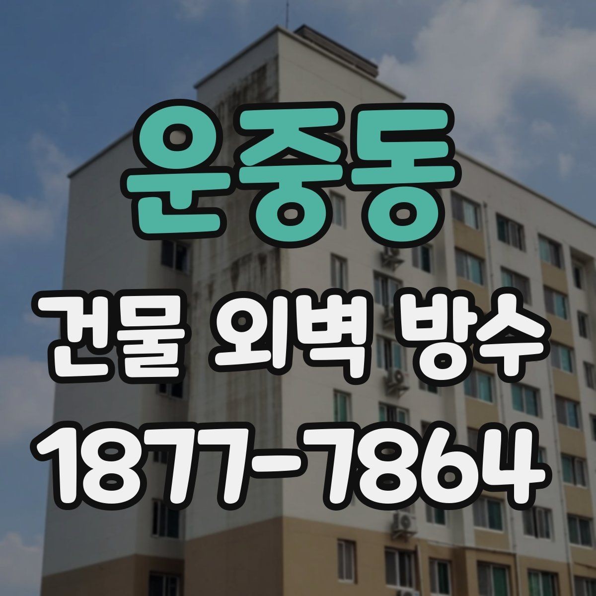 운중동 건물 외벽 방수 견적이 여러 개인 이유