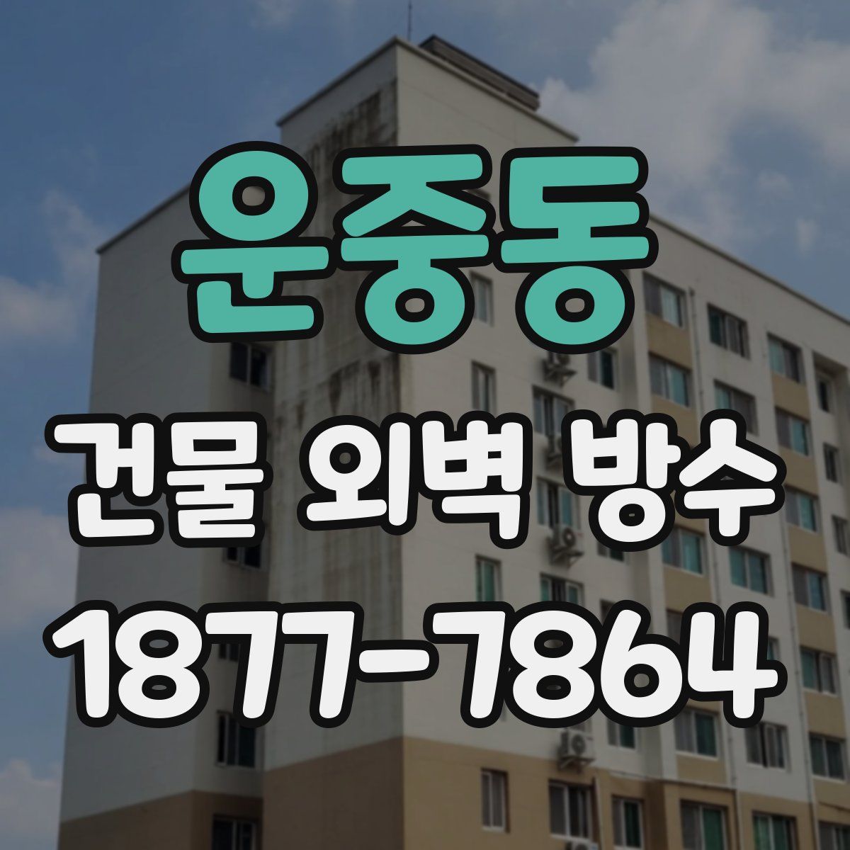 운중동 건물 외벽 방수