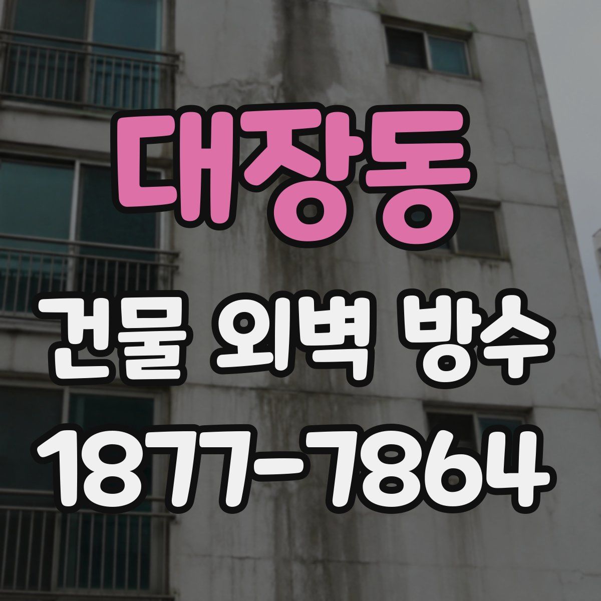 대장동 건물 외벽 방수