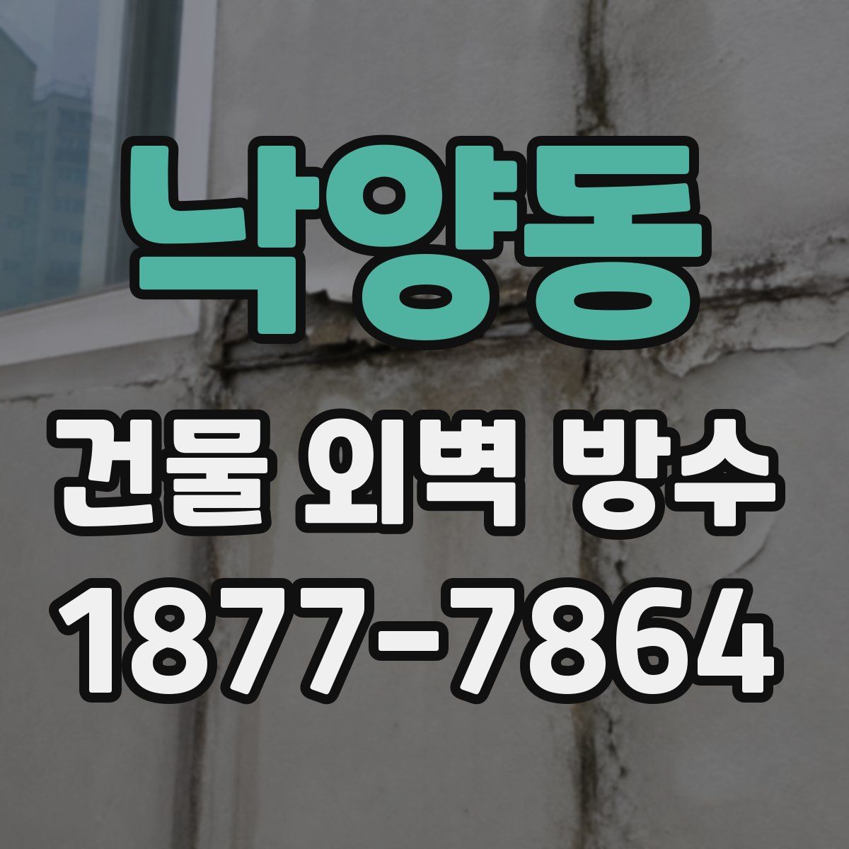 낙양동 건물 외벽 방수