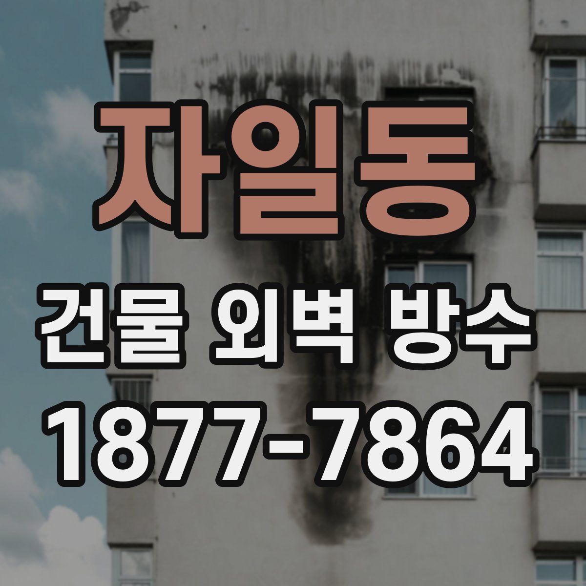 자일동 건물 외벽 방수
