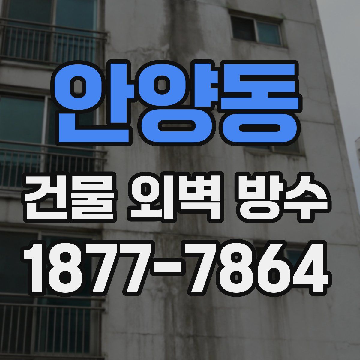 안양동 건물 외벽 방수