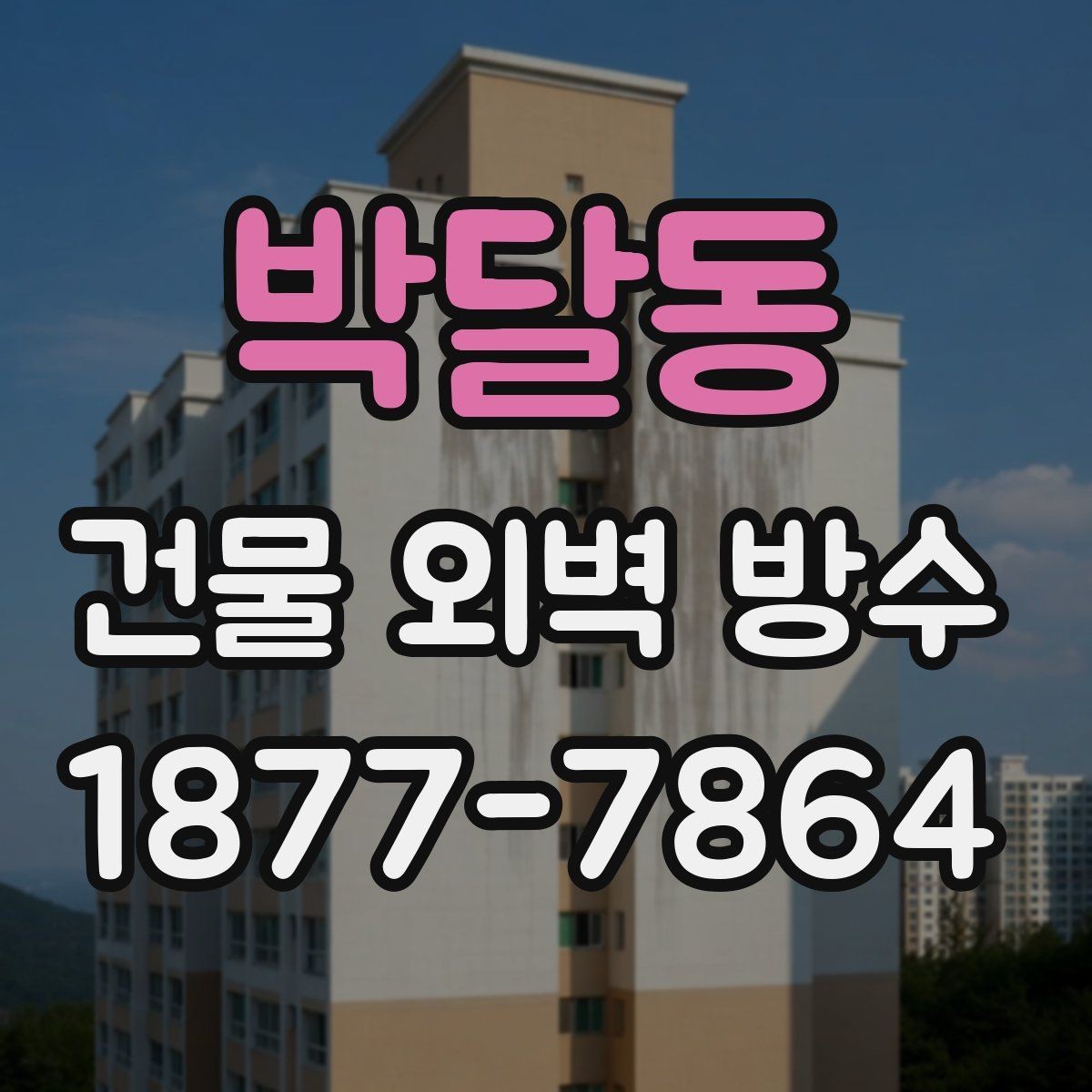 박달동 건물 외벽 방수 누수 의심 구간 확인 요령