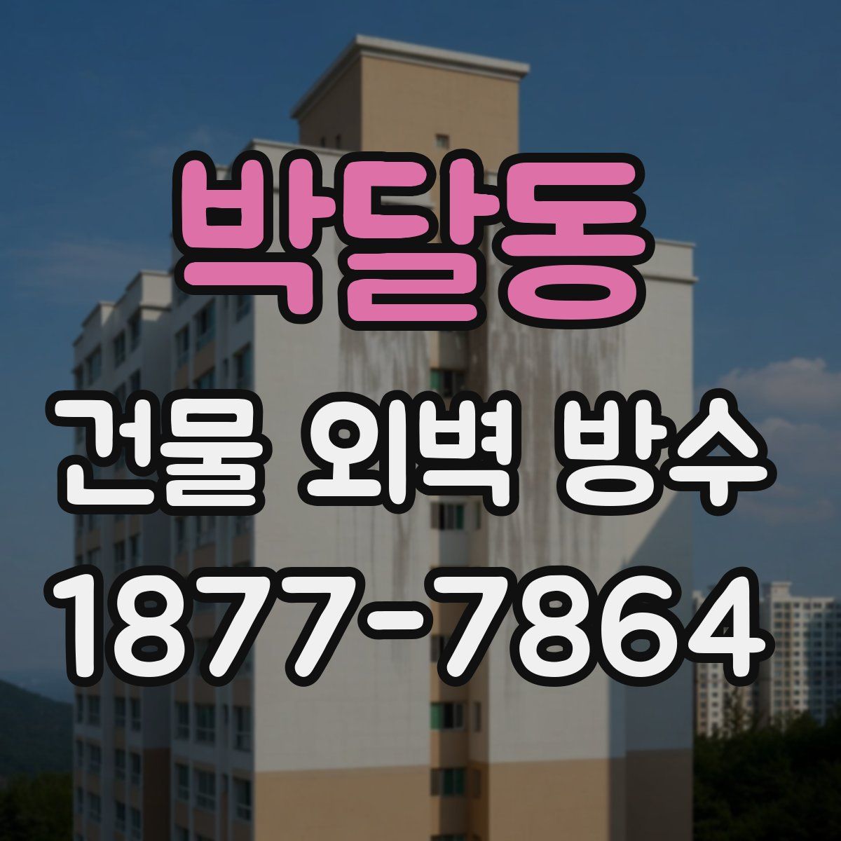 박달동 건물 외벽 방수