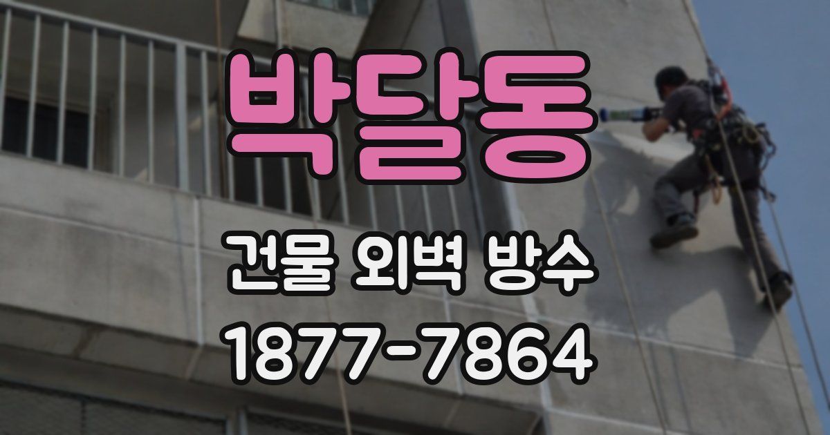 박달동 건물 외벽 방수