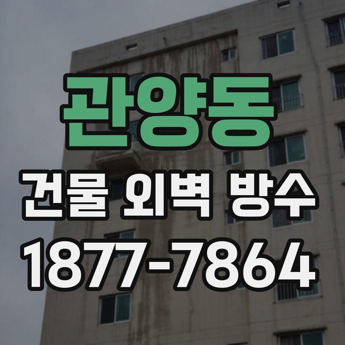 관양동 건물 외벽 방수