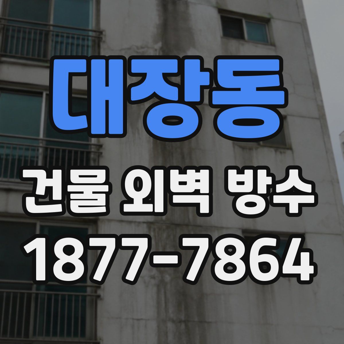 대장동 건물 외벽 방수