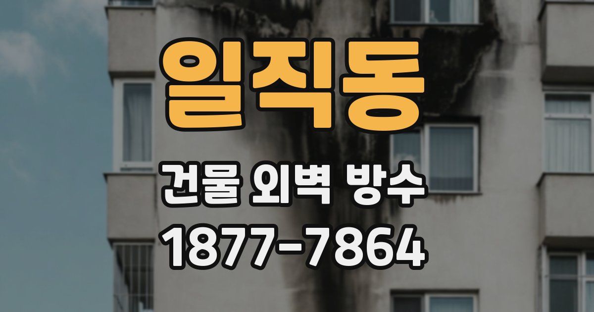 일직동 건물 외벽 방수