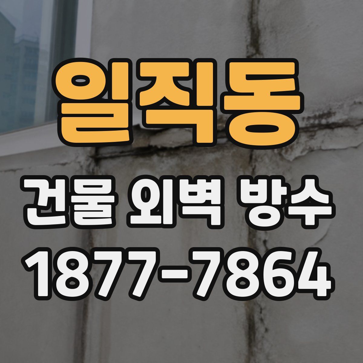 일직동 건물 외벽 방수