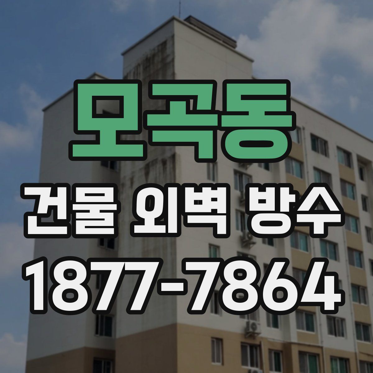 모곡동 건물 외벽 방수