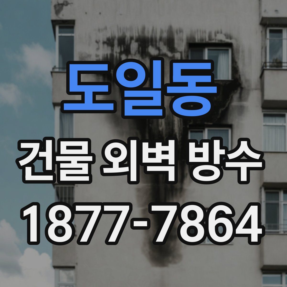 도일동 건물 외벽 방수