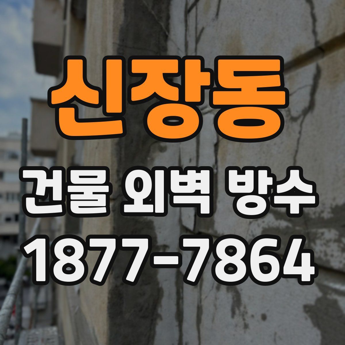 신장동 건물 외벽 방수