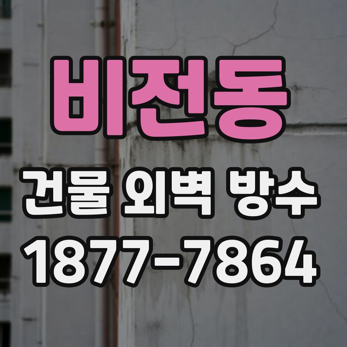 비전동 건물 외벽 방수