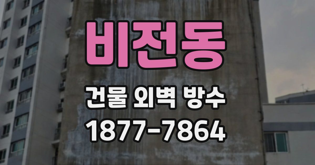 비전동 건물 외벽 방수