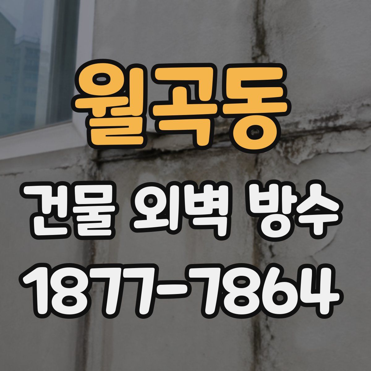 월곡동 건물 외벽 방수
