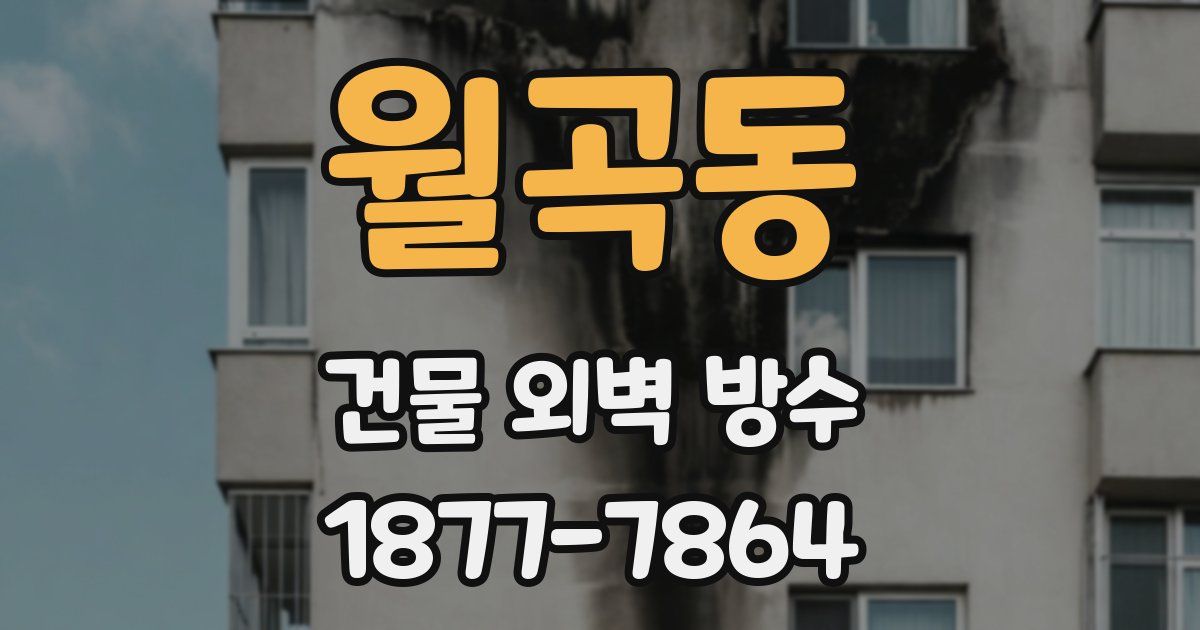 월곡동 건물 외벽 방수