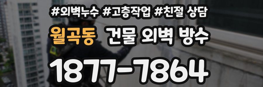 월곡동 건물 외벽 방수