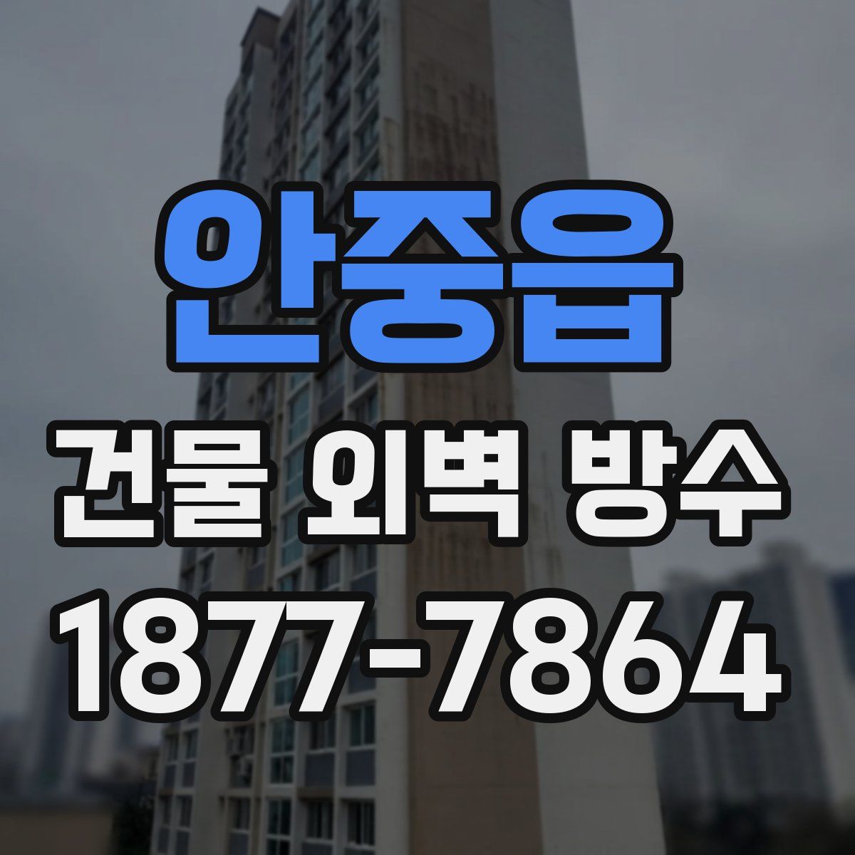안중읍 건물 외벽 방수
