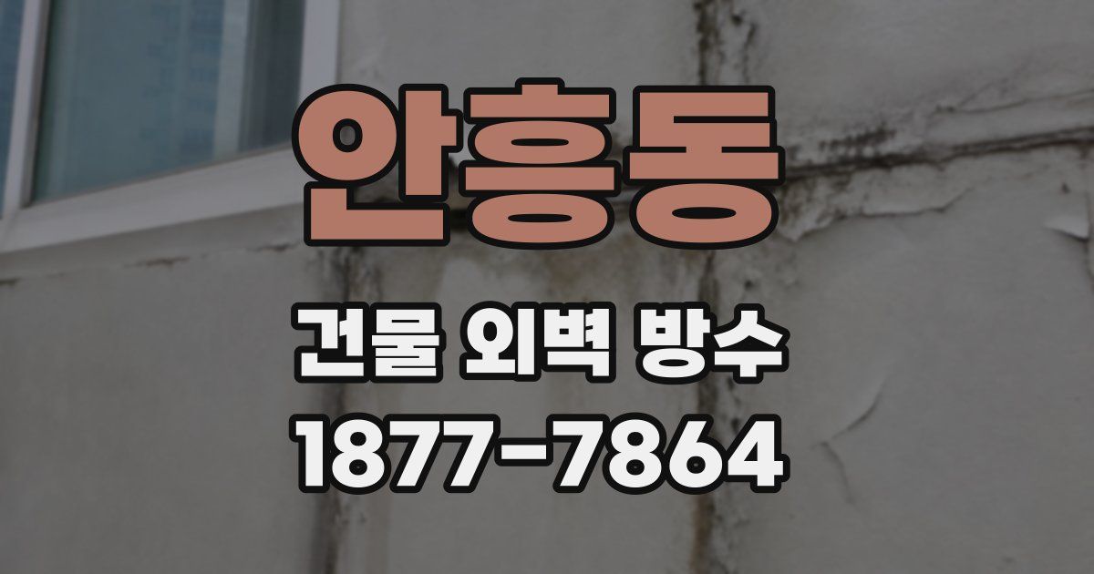 안흥동 건물 외벽 방수