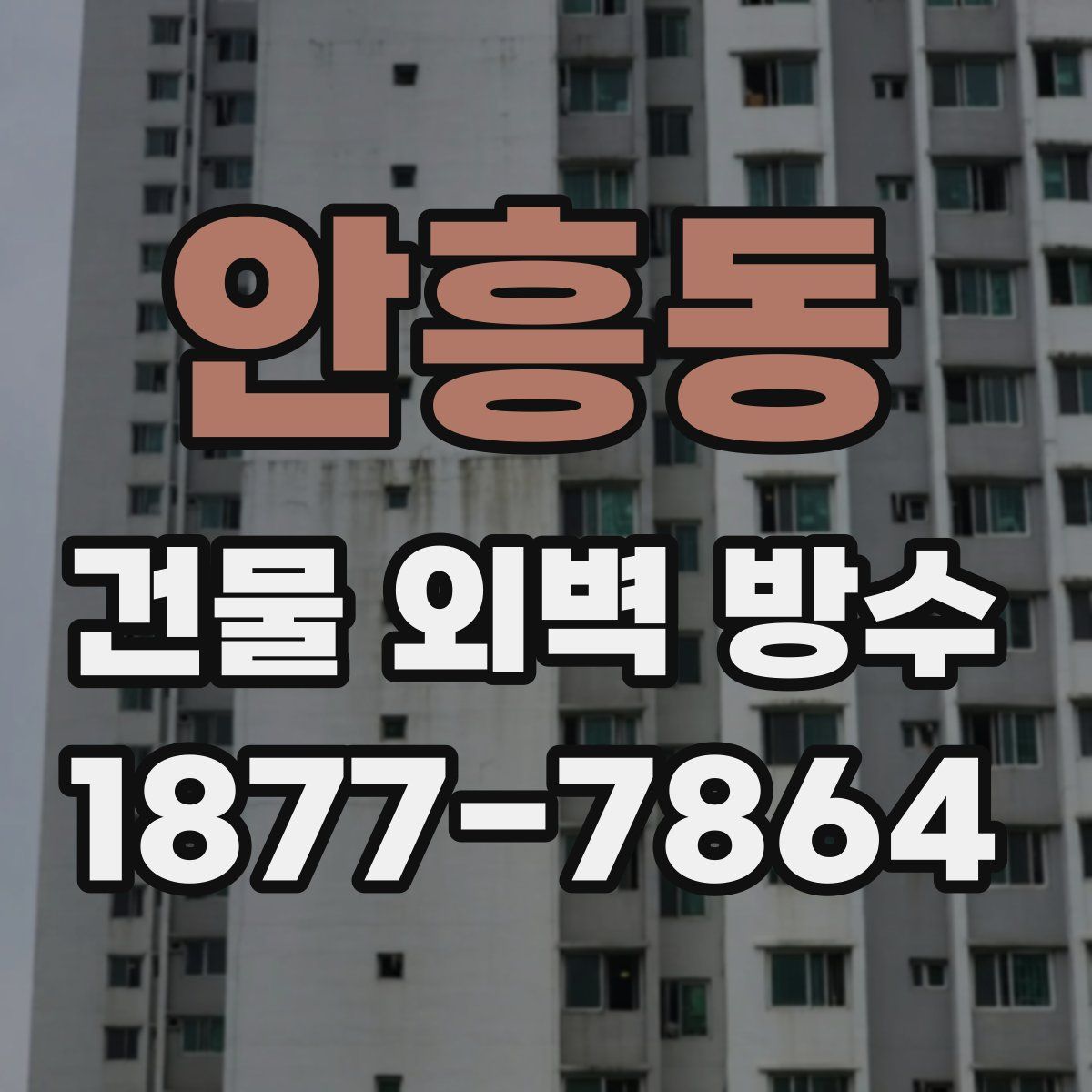 안흥동 건물 외벽 방수