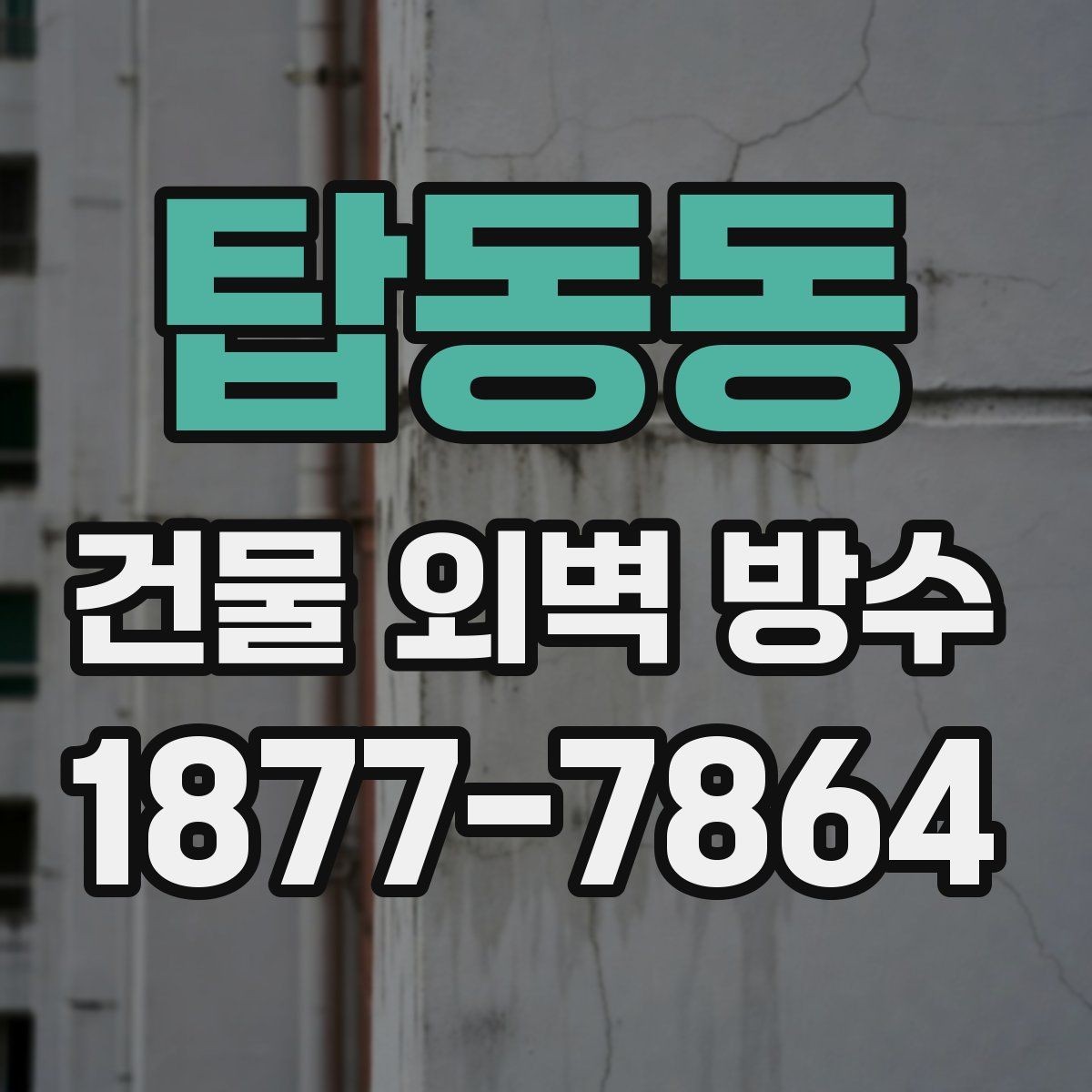 탑동동 건물 외벽 방수 누수 점검 먼저 해야 하는 이유