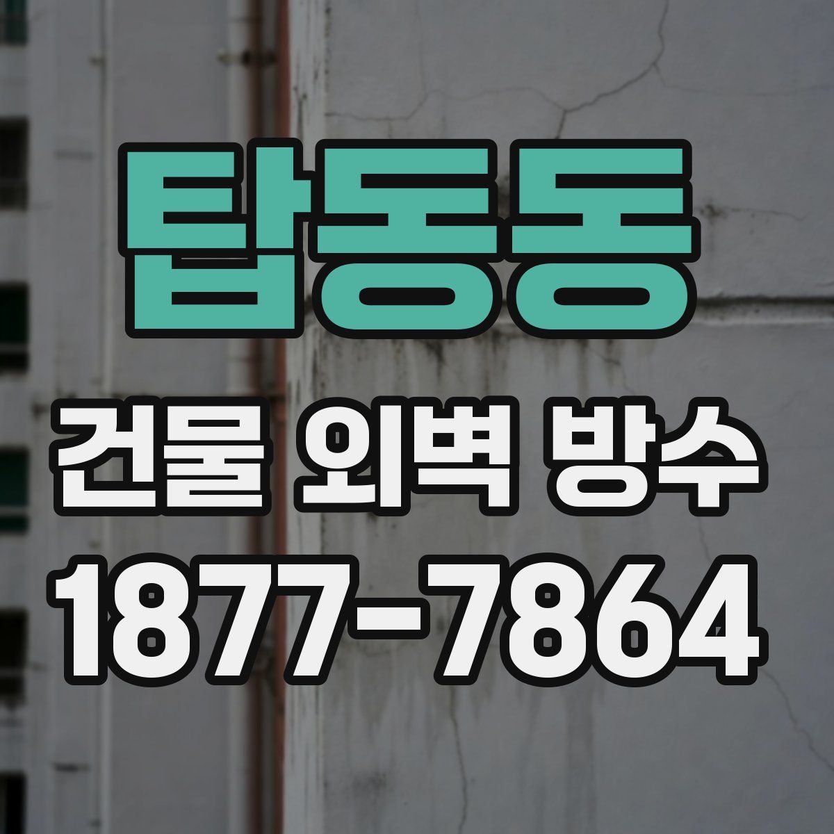탑동동 건물 외벽 방수