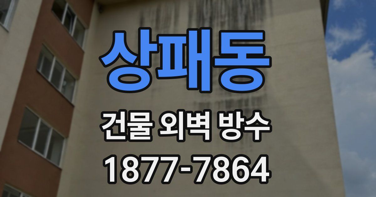 상패동 건물 외벽 방수