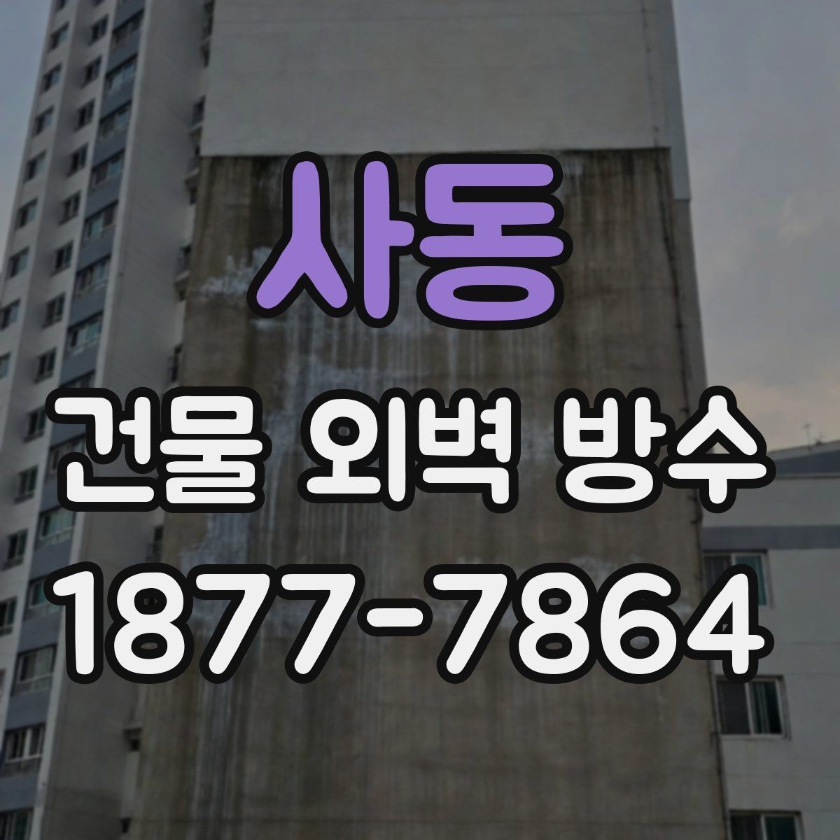 사동 건물 외벽 방수 업체 후기 볼 때 확인할 부분
