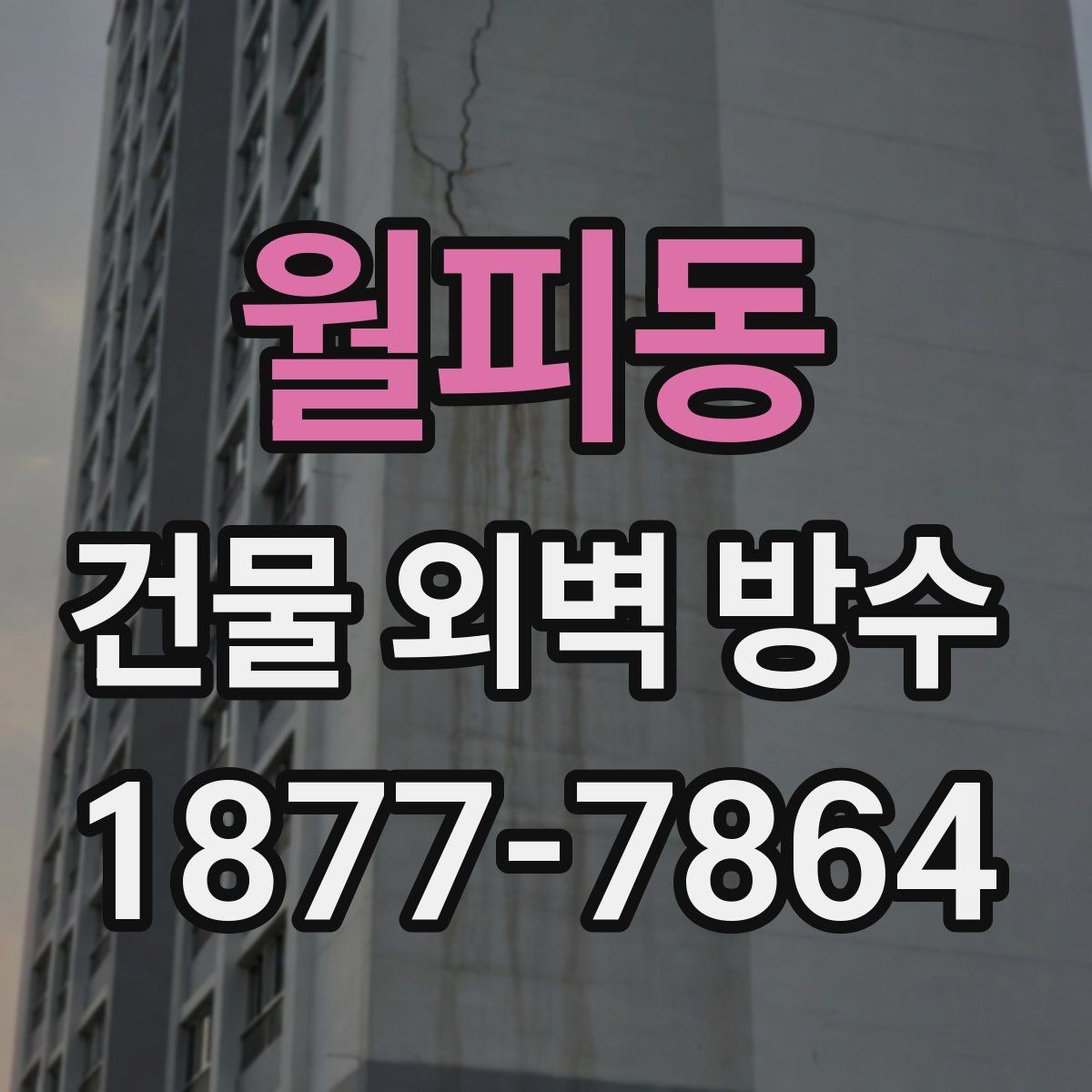 월피동 건물 외벽 방수 자주 묻는 질문과 기본 답변
