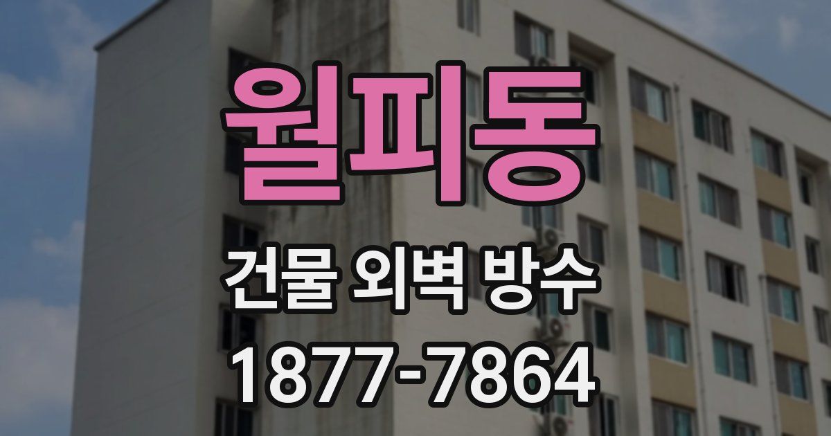 월피동 건물 외벽 방수
