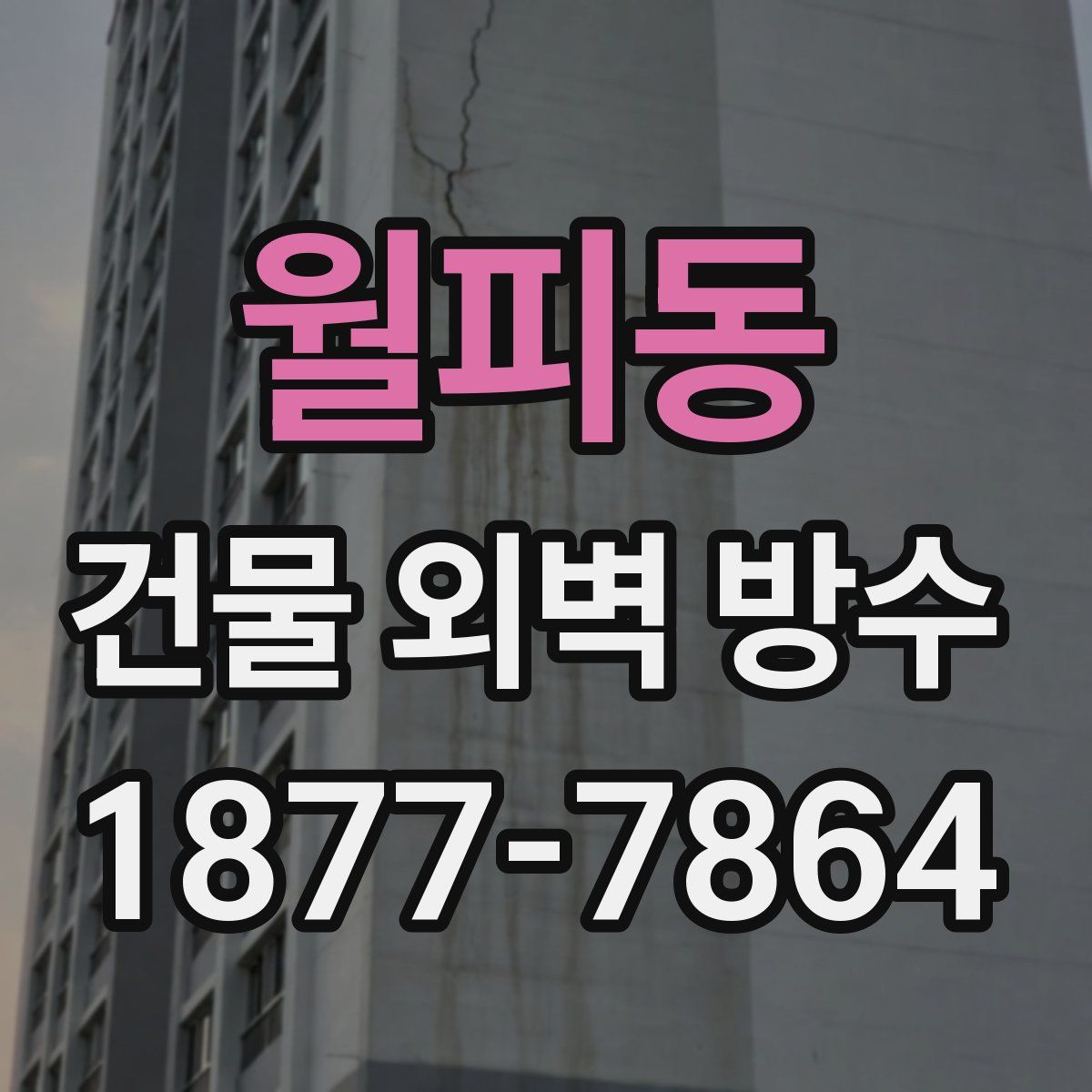 월피동 건물 외벽 방수