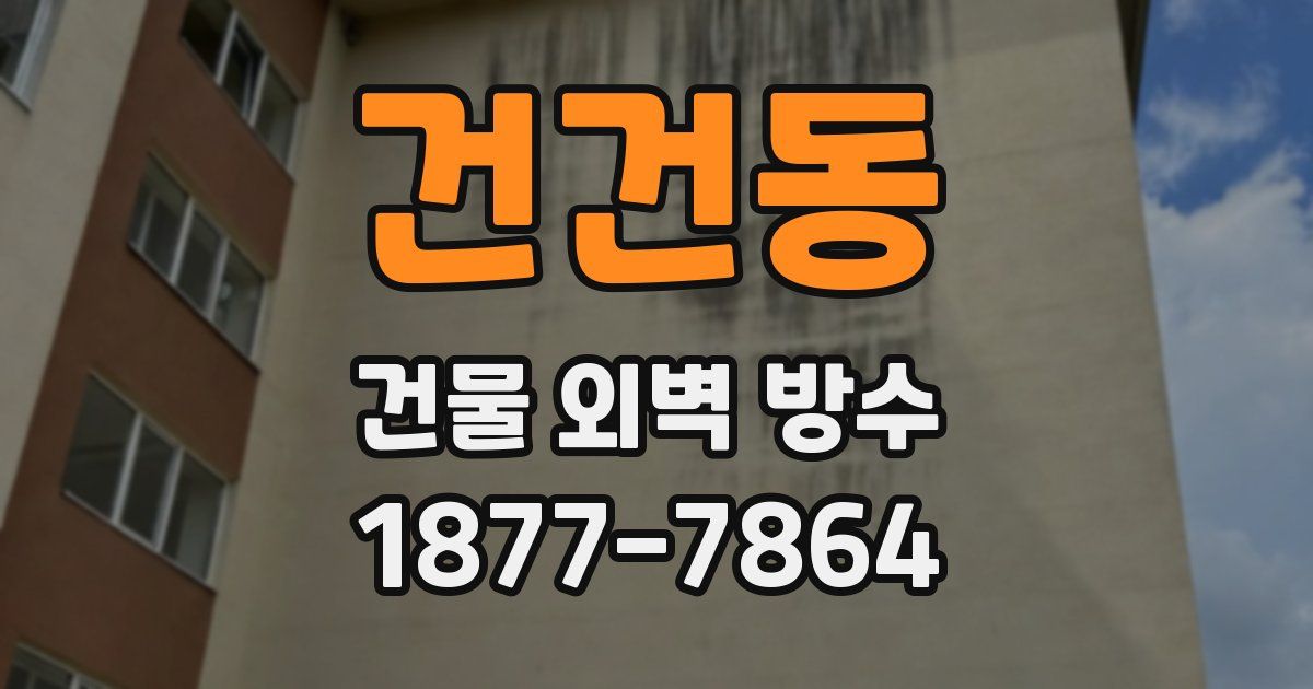 건건동 건물 외벽 방수