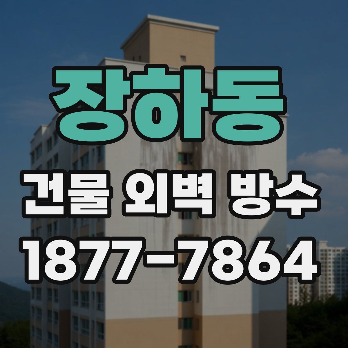 장하동 건물 외벽 방수
