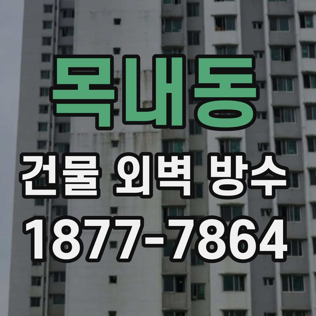 목내동 건물 외벽 방수