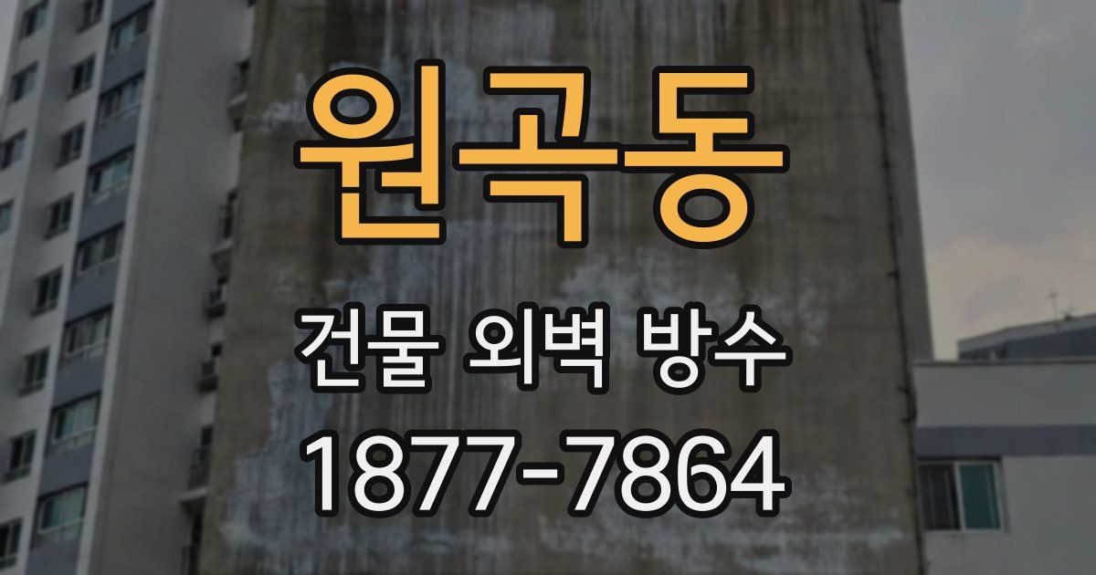 원곡동 건물 외벽 방수