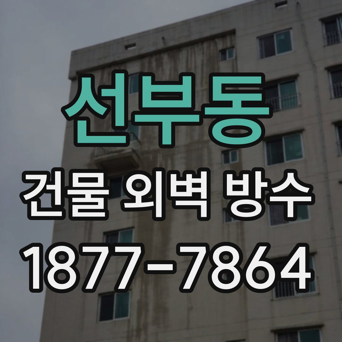 선부동 건물 외벽 방수