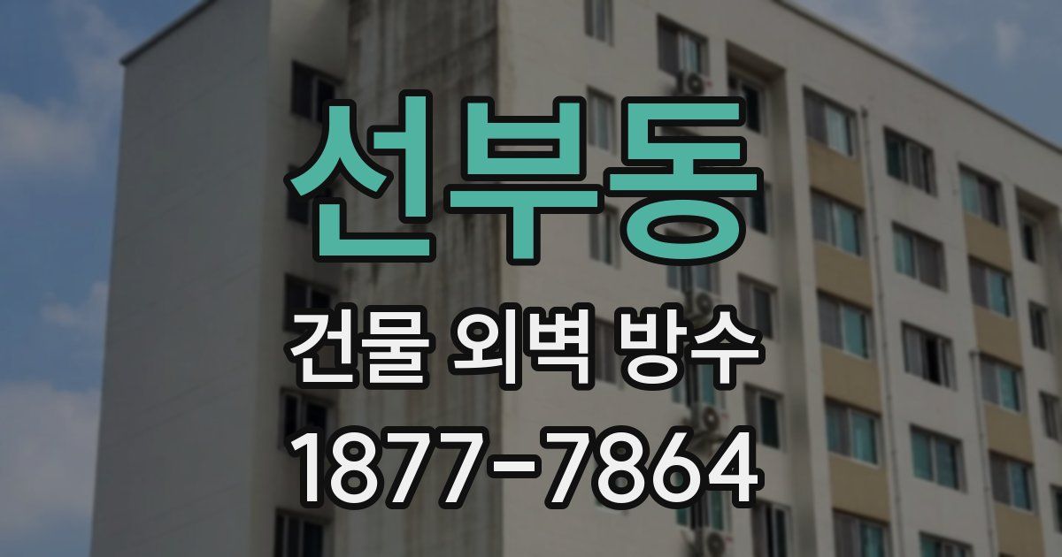 선부동 건물 외벽 방수