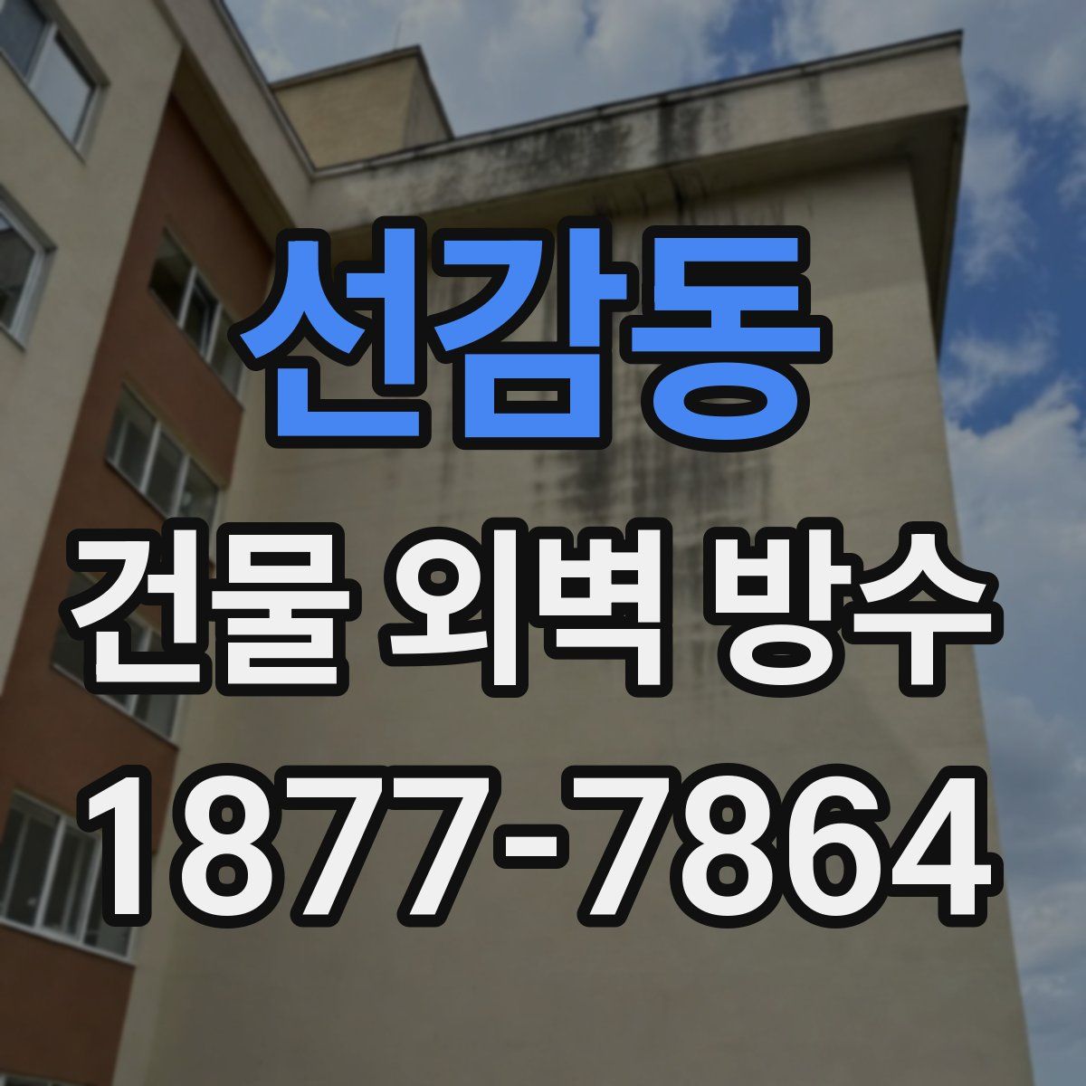 선감동 건물 외벽 방수