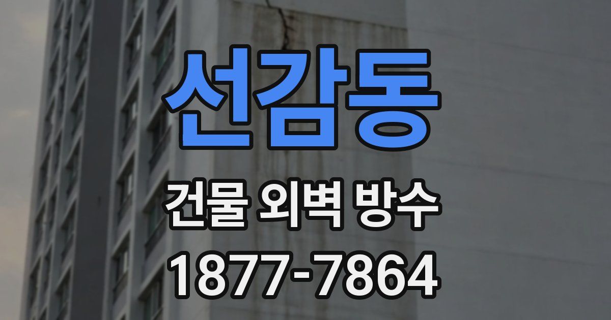 선감동 건물 외벽 방수