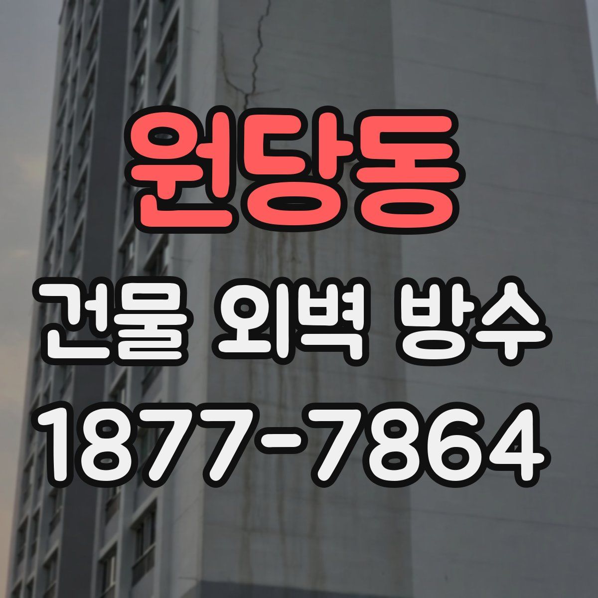 원당동 건물 외벽 방수