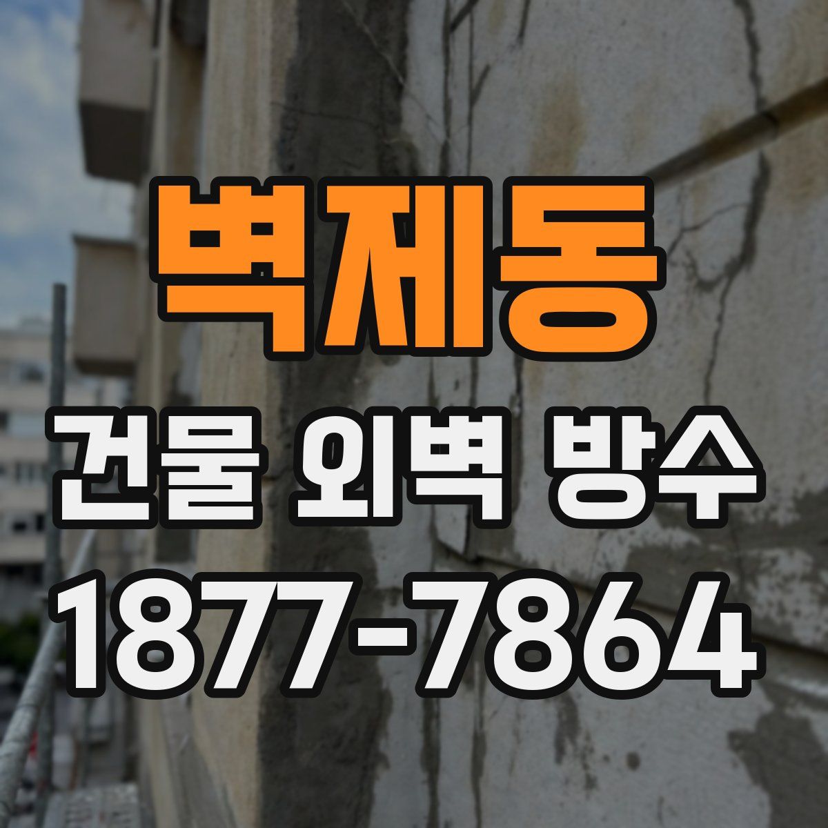 벽제동 건물 외벽 방수