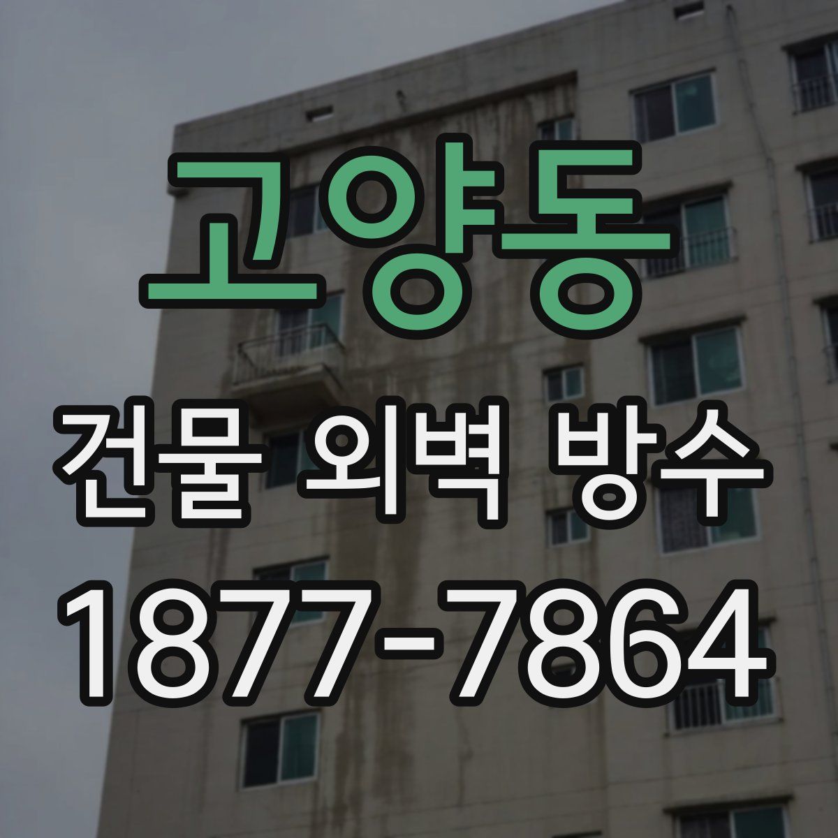 고양동 건물 외벽 방수